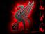 liverpool24's Avatar