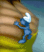 blueman69's Avatar
