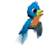 birdie8819's Avatar